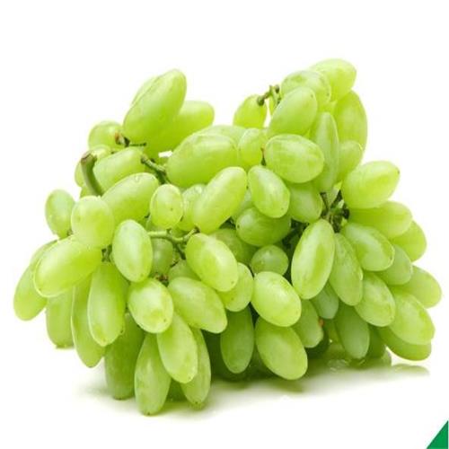 GRAPES GREEN -500 Gm